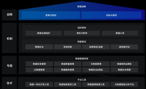 洞見未來，駕馭數(shù)據(jù) 國內(nèi)優(yōu)秀數(shù)據(jù)治理服務(wù)商及軟件開發(fā)指南