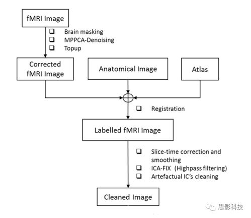思影科技嚙齒類動物神經(jīng)影像數(shù)據(jù)處理業(yè)務(wù)流程圖例解析